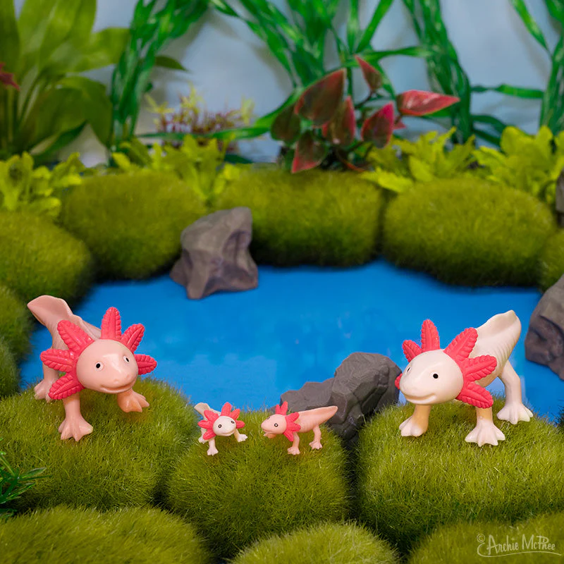 Archie McPhee Box of Axolotls – Family of 4 - Image 2