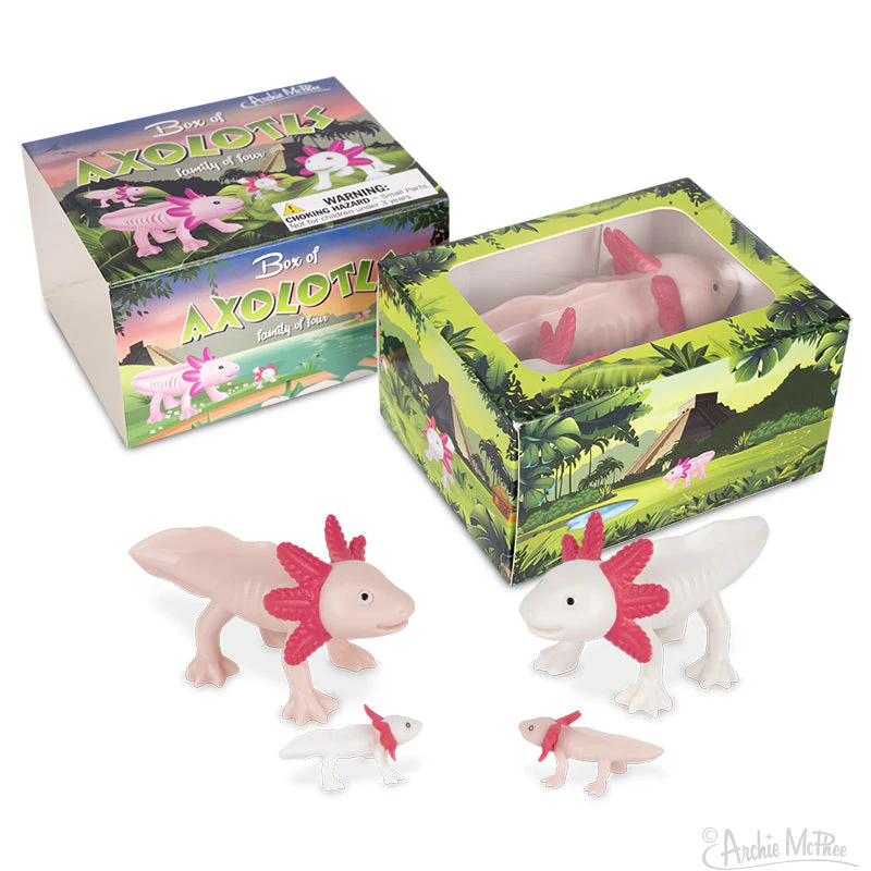 Archie McPhee Box of Axolotls – Family of 4 - Image 3