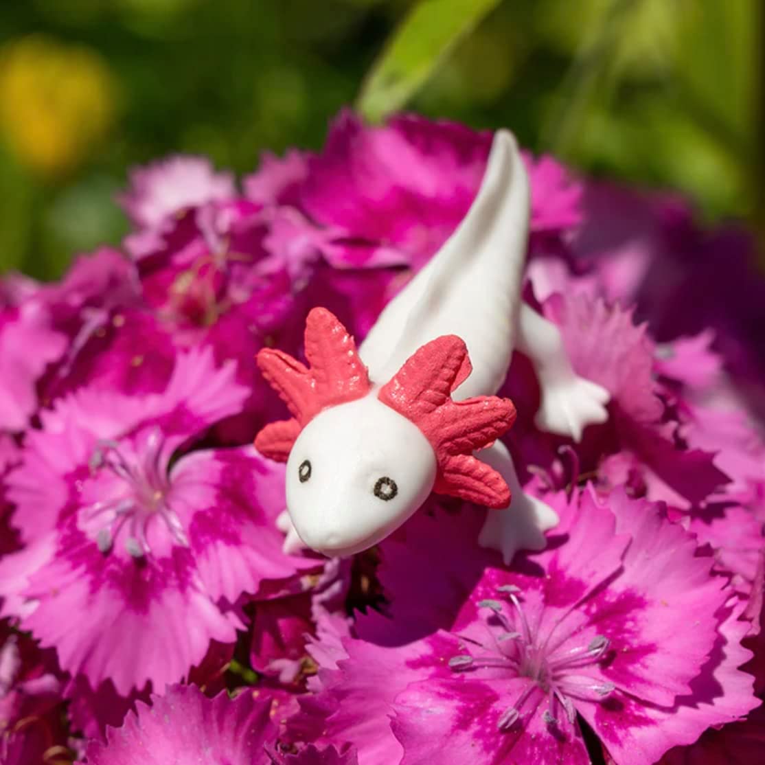 Archie McPhee Itty Bitty Axolotls – Pack of 8 - Image 4