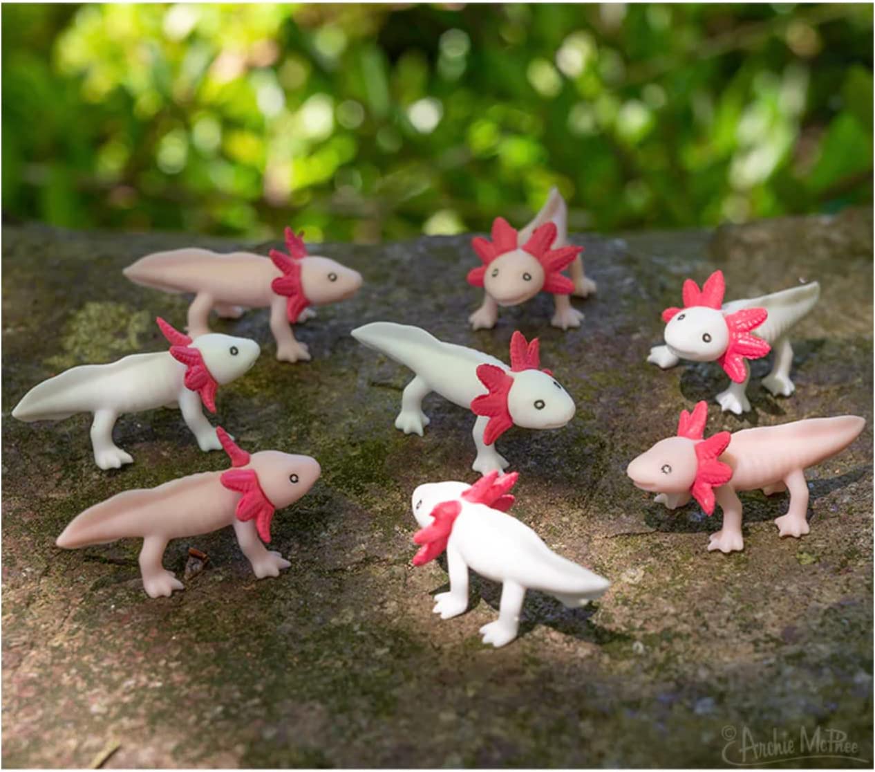 Archie McPhee Itty Bitty Axolotls – Pack of 8 - Image 5