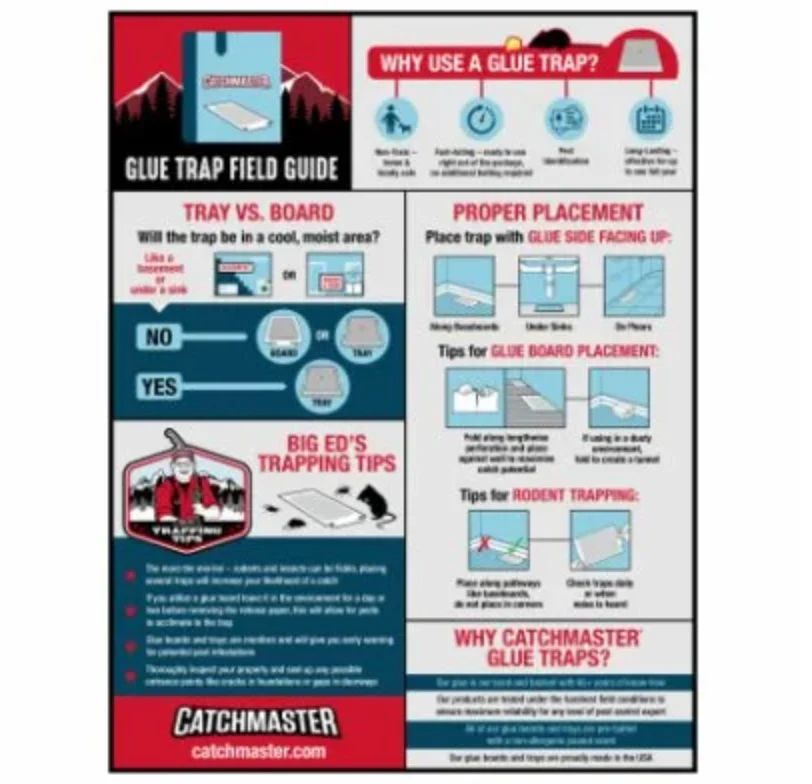 Baited Mouse & Insect Glue Traps – 4-Pk. - Image 3