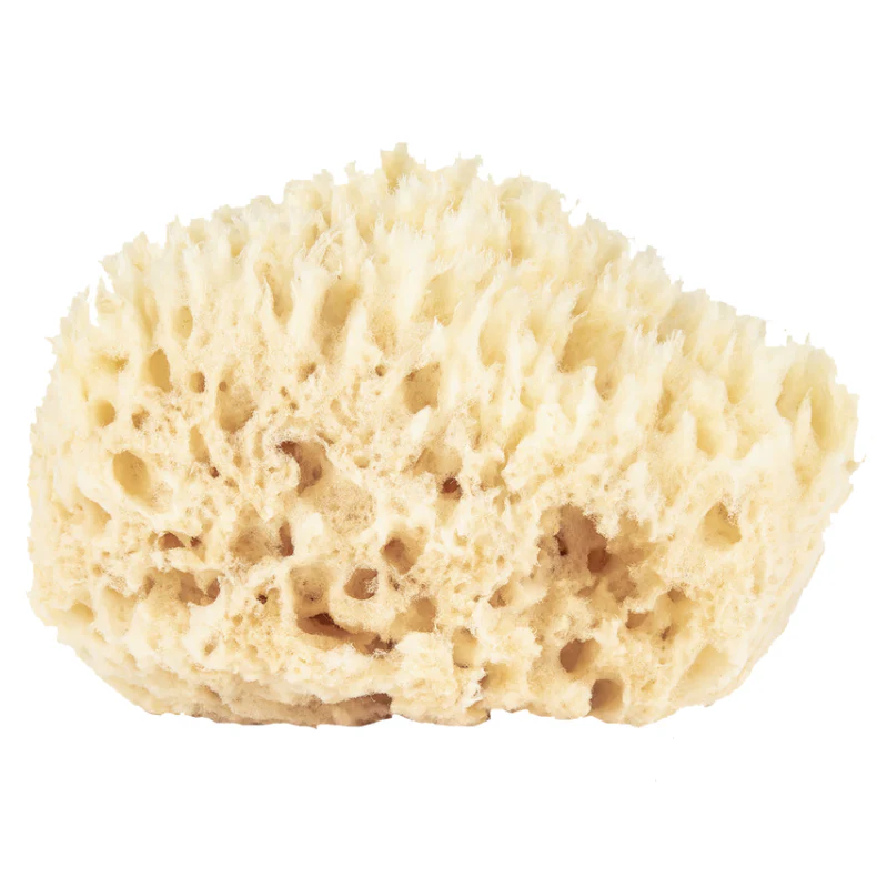 Baudelaire Wool Bath Sponge – 4.5 inch - Image 2