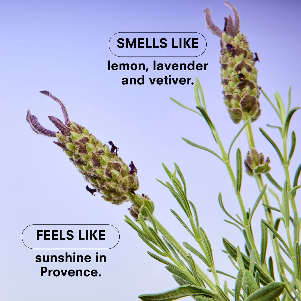 Boy Smells Essentials Scented Candle – Lavender – 8.5oz. - Image 5