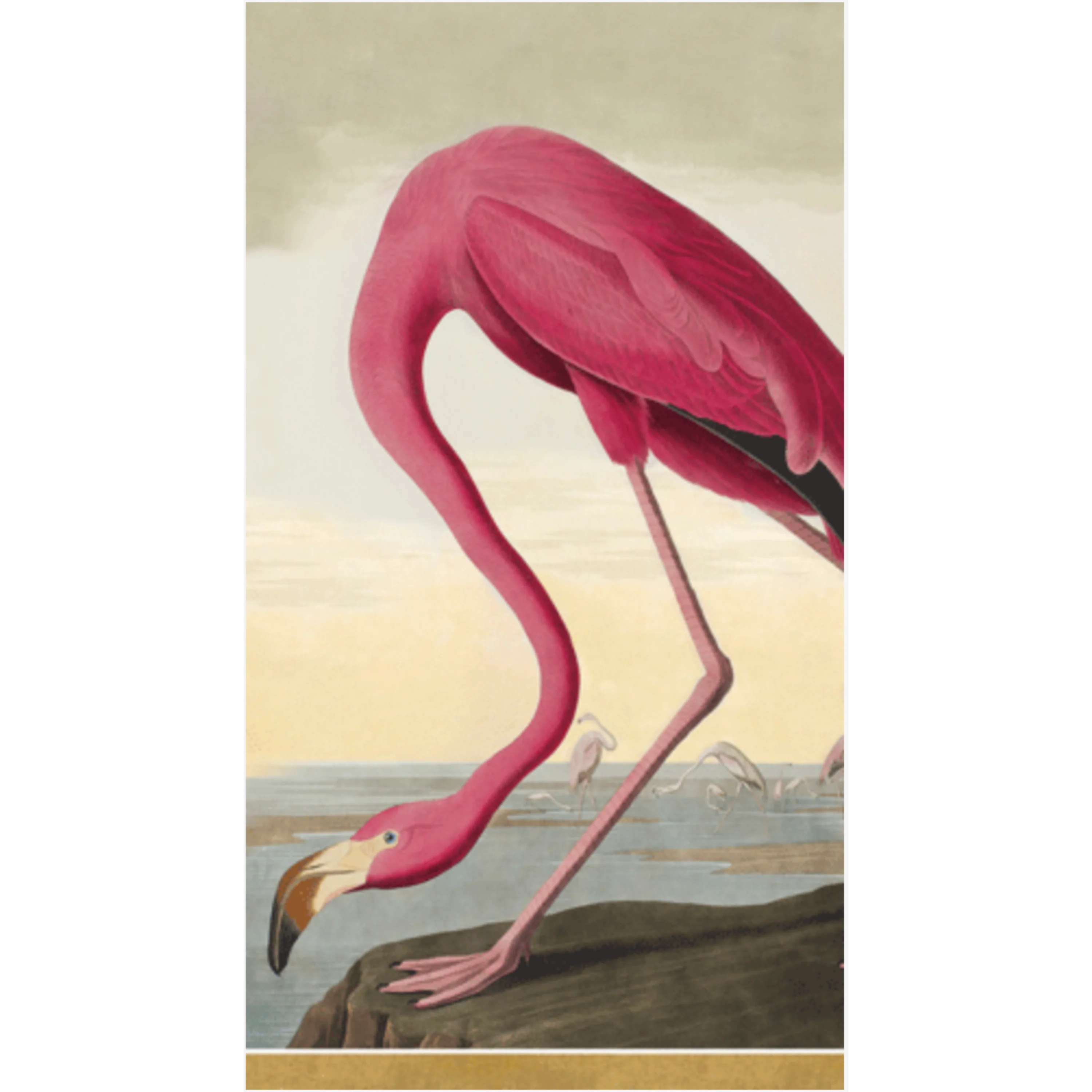 Caspari Chelsea Audubon Guest Towels - 15pk