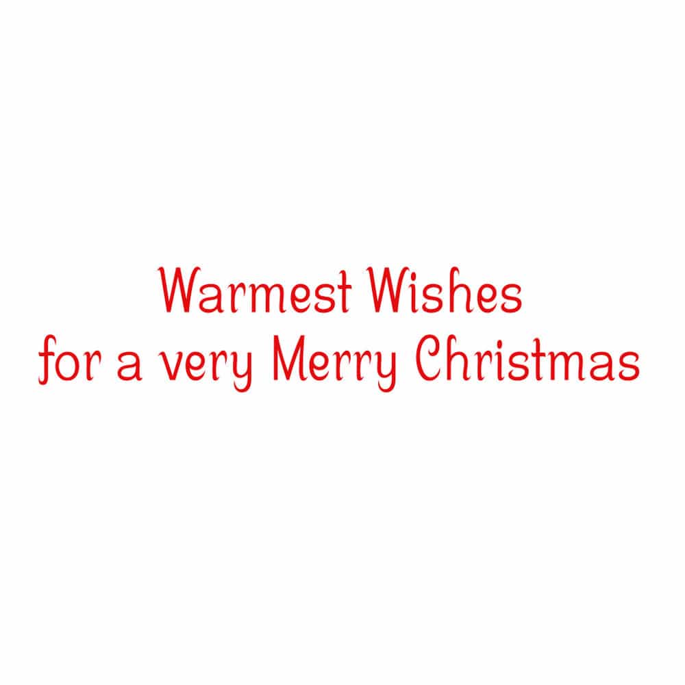 Caspari Snow Fun Classic Boxed Christmas Cards – 15 Cards/Envelopes - Image 2