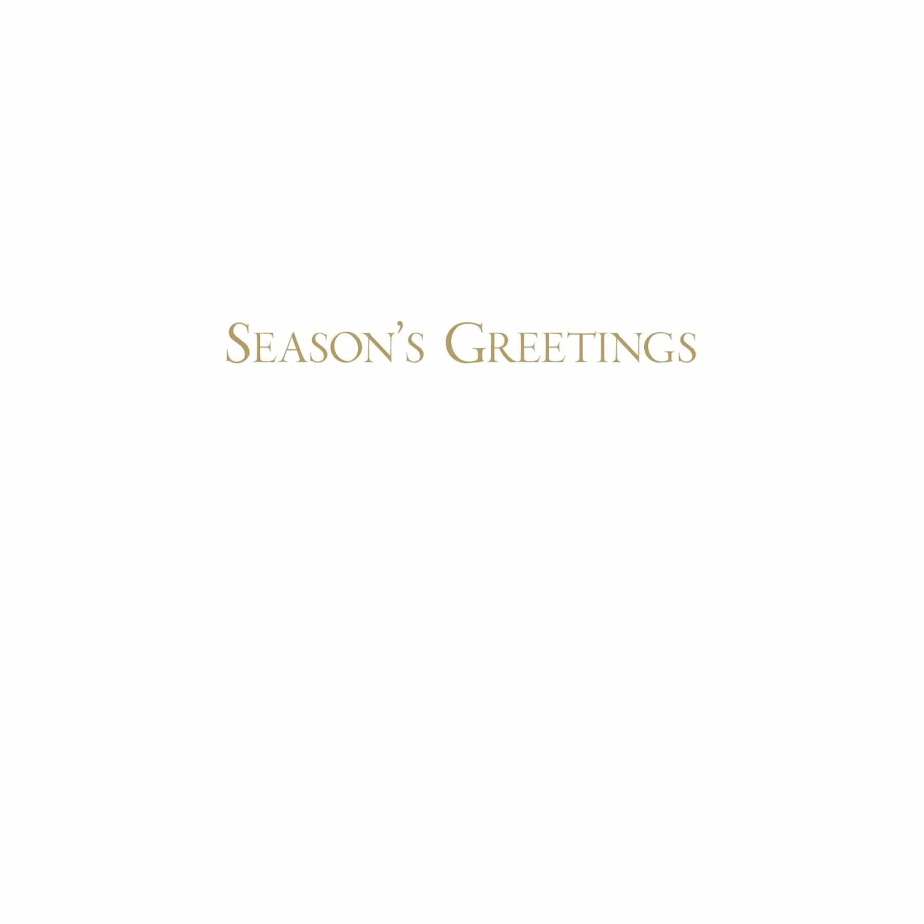 Caspari Spring Snow Over Central Park Boxed Christmas Cards – 15 Cards/Envelopes - Image 2