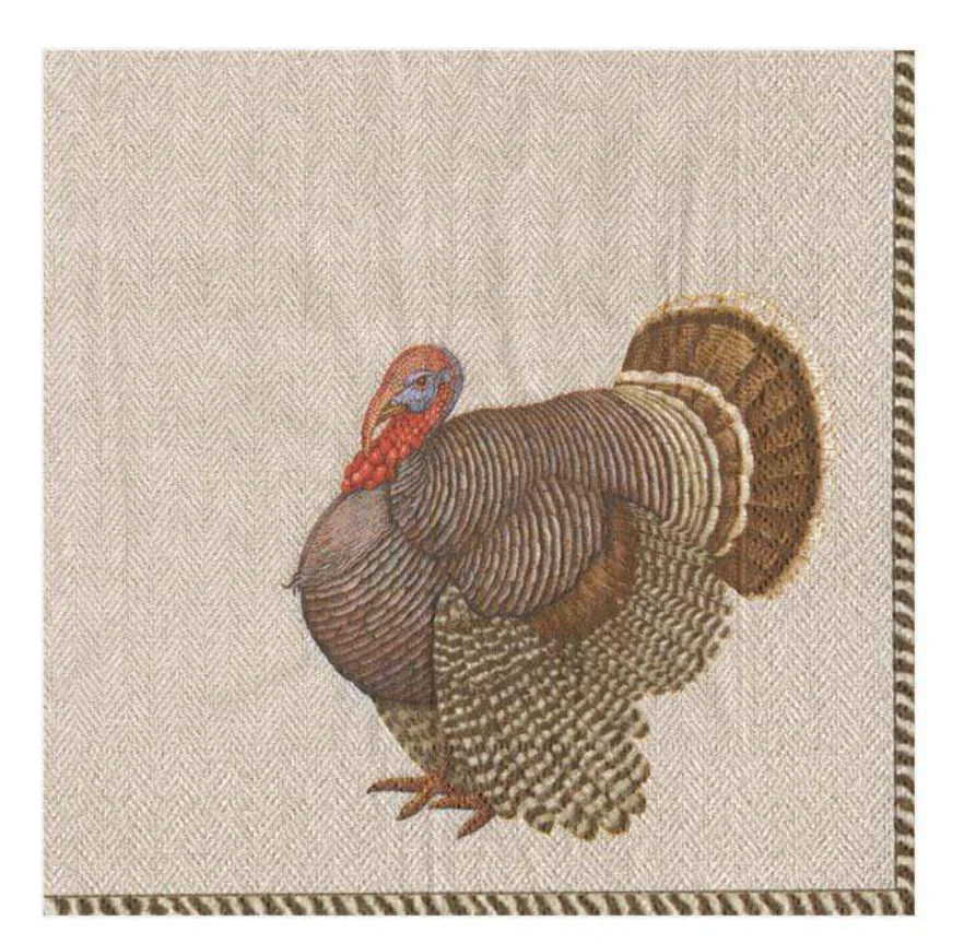 Caspari Thomas T. Byrd Cocktail Napkin - 20pk - Image 2
