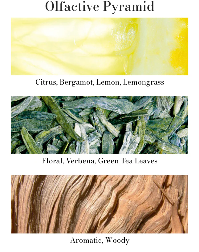Cereria Molla - Tea & Lemongrass Diffuser Refill – 16.9oz - Image 2
