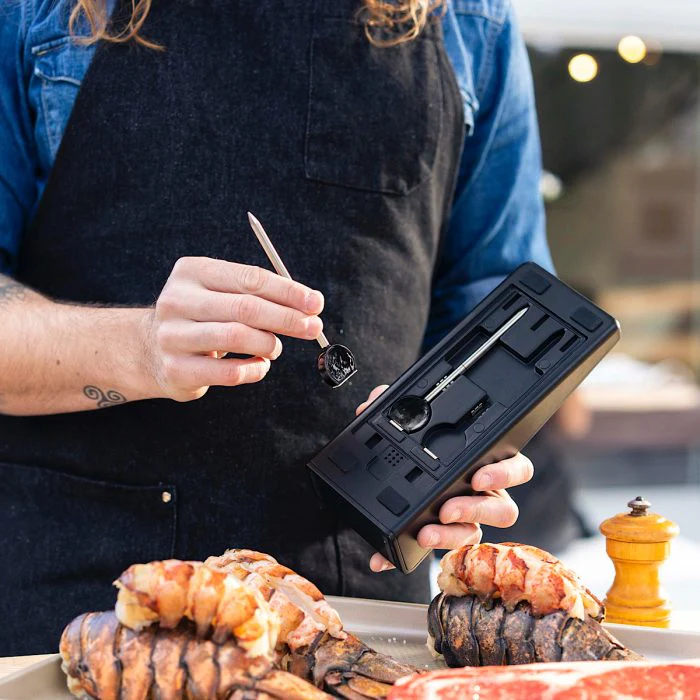ChefsTemp ProTemp Plus WiFi Wireless Meat Thermometer - Image 2