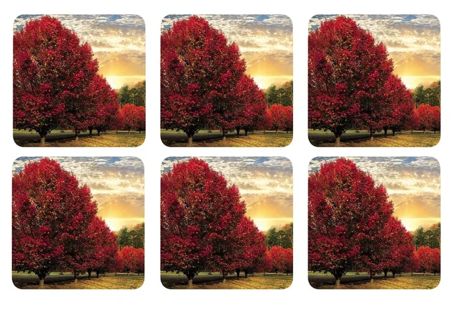 Crimson Trees Coasters – Set of 6 - Image 3
