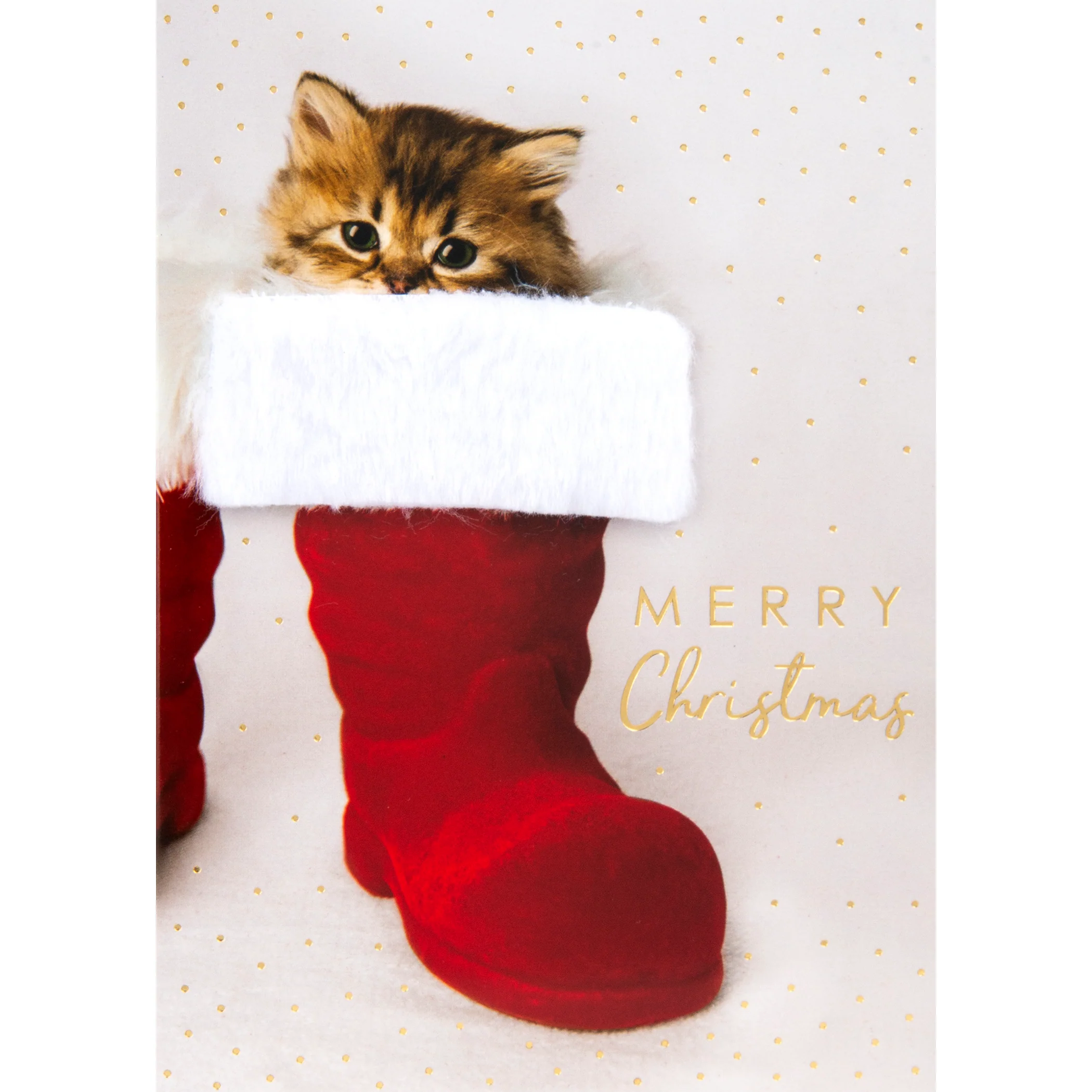 Design Design Kitten in Stocking Greeting Card – 1 Card & 1 Envelope