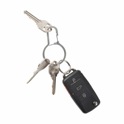 DualPass Dual Chamber Key Ring With Carabiner Clip - Image 3