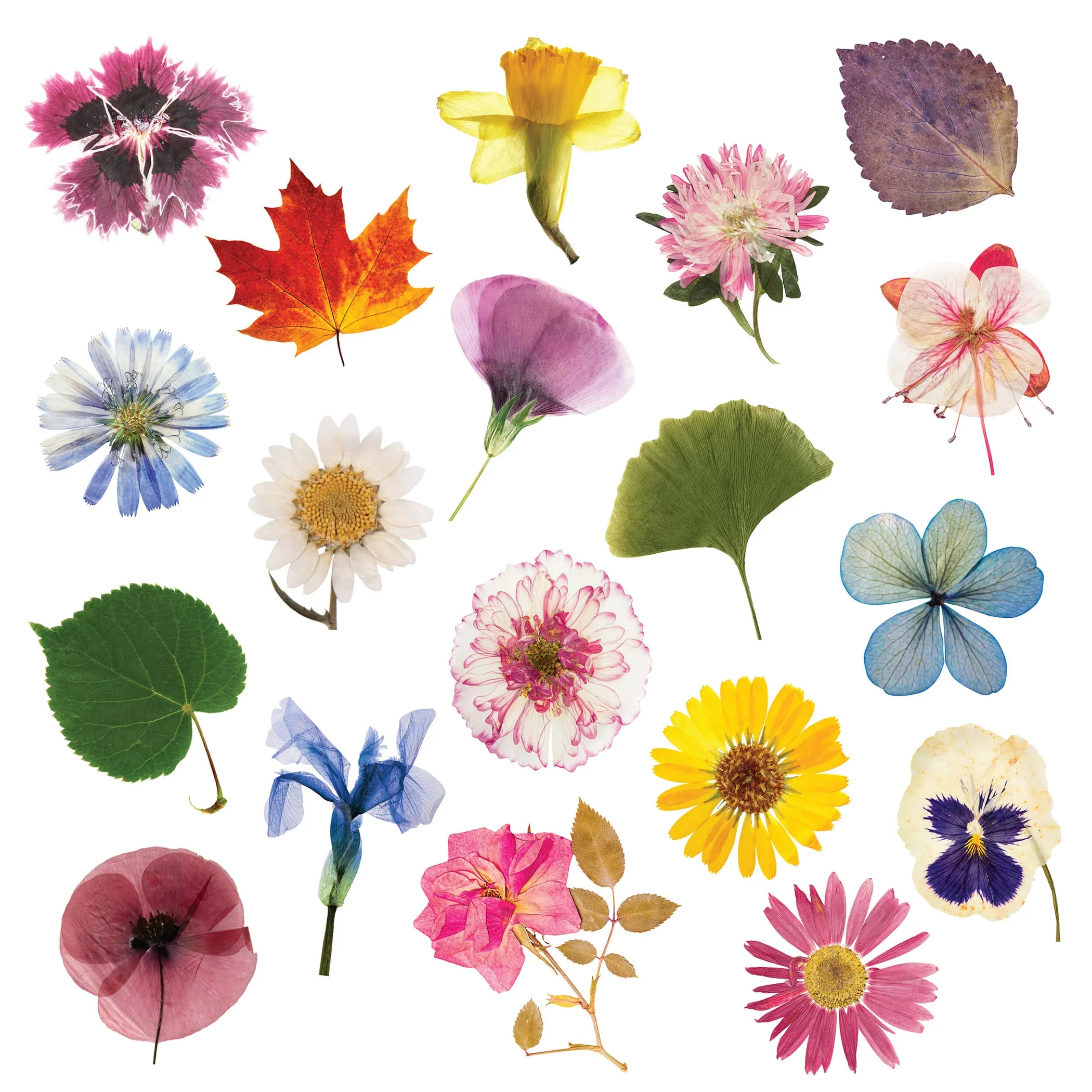 Elseware Unplug Flower Press DIY – Includes All Parts - Image 5