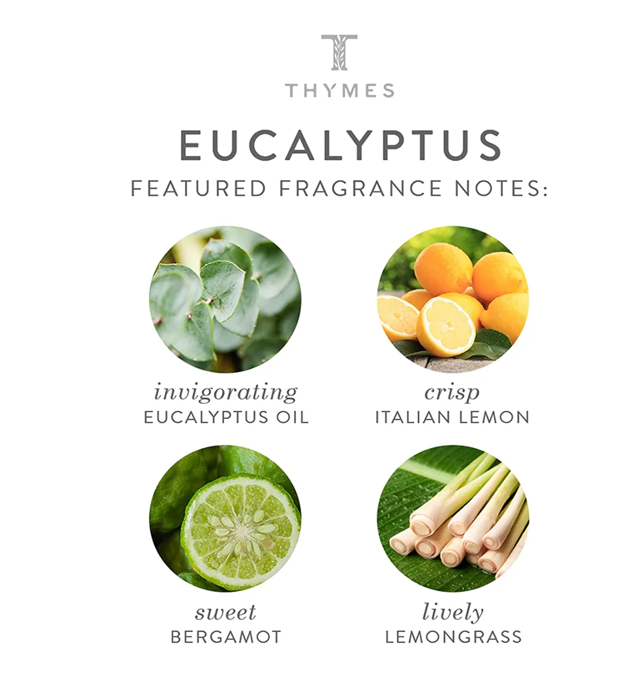 Eucalyptus Hand Wash โ 8.25oz - Image 2