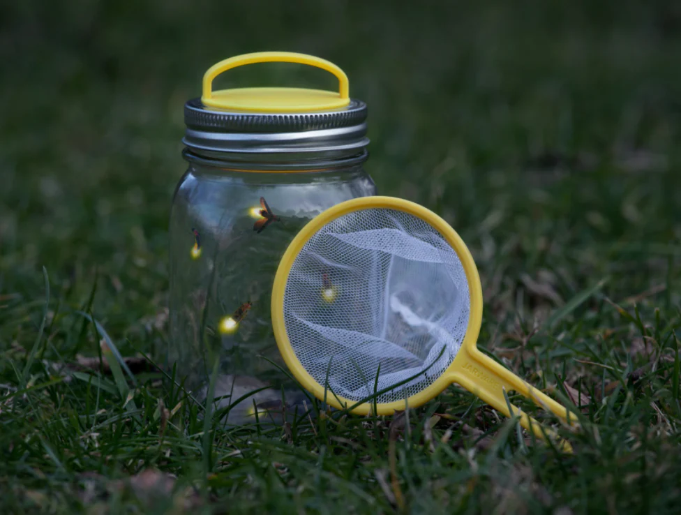Firefly Kit – Catch a Jar Full And Watch Them Shine - Image 3