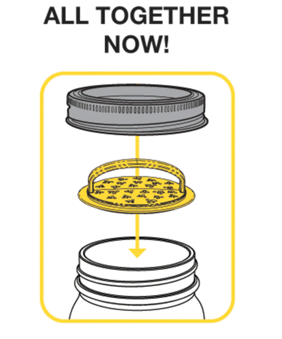 Firefly Kit – Catch a Jar Full And Watch Them Shine - Image 5