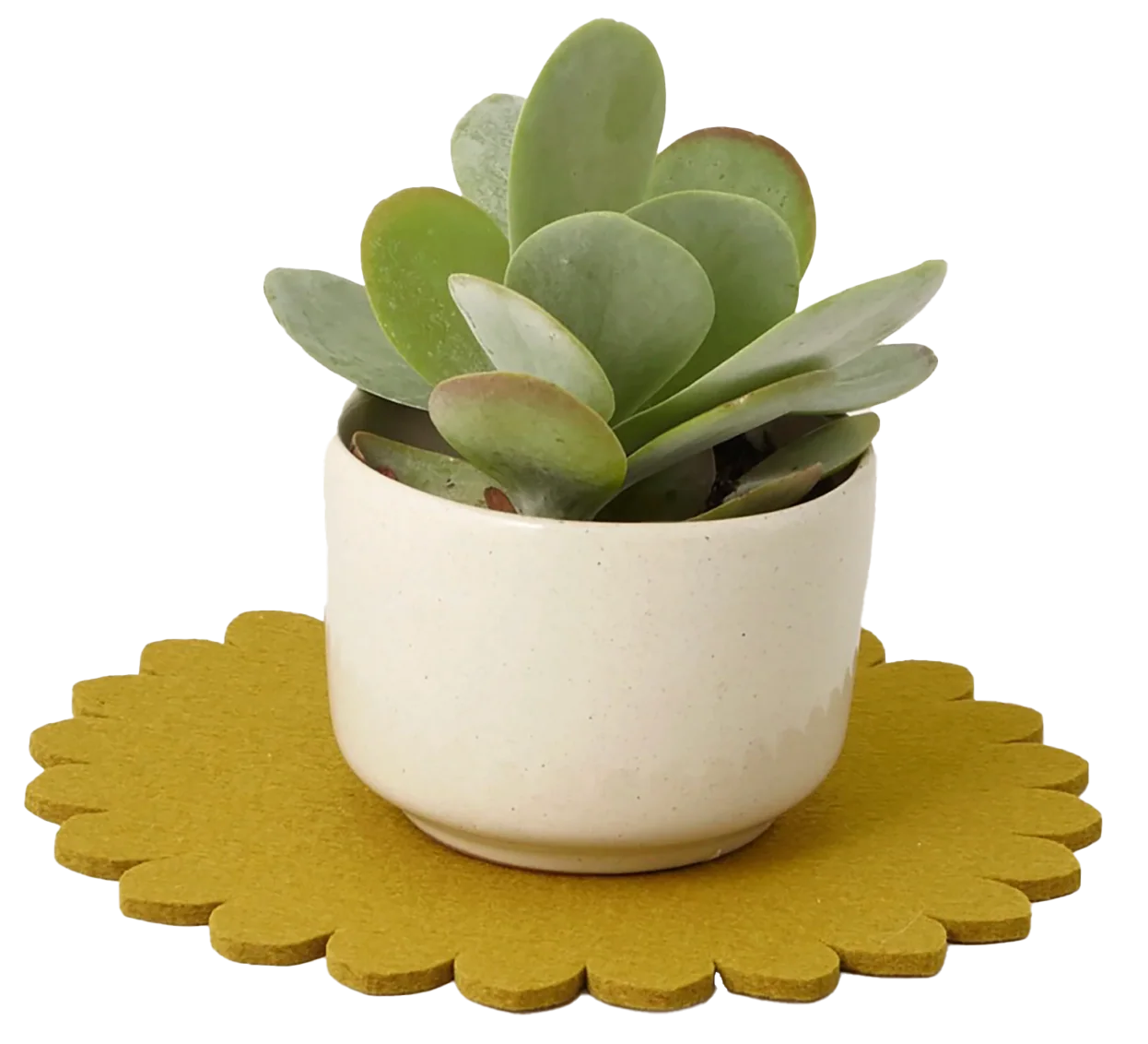 Graf Lantz Crest 8" Trivet – Dandelion