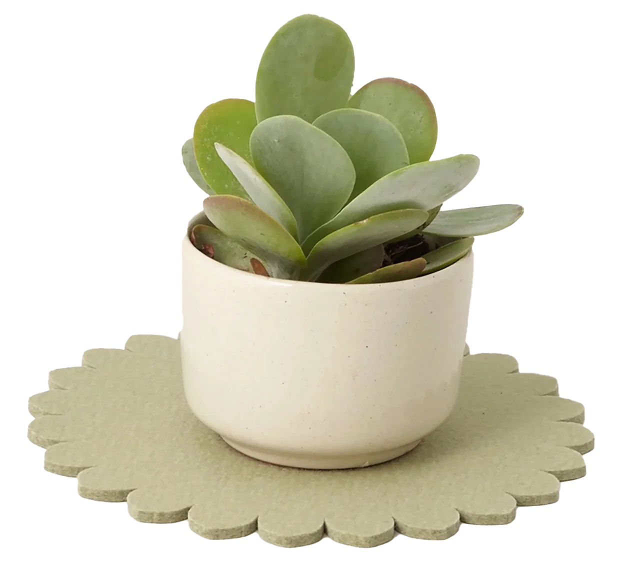 Graf Lantz Crest 8" Trivet – Dew