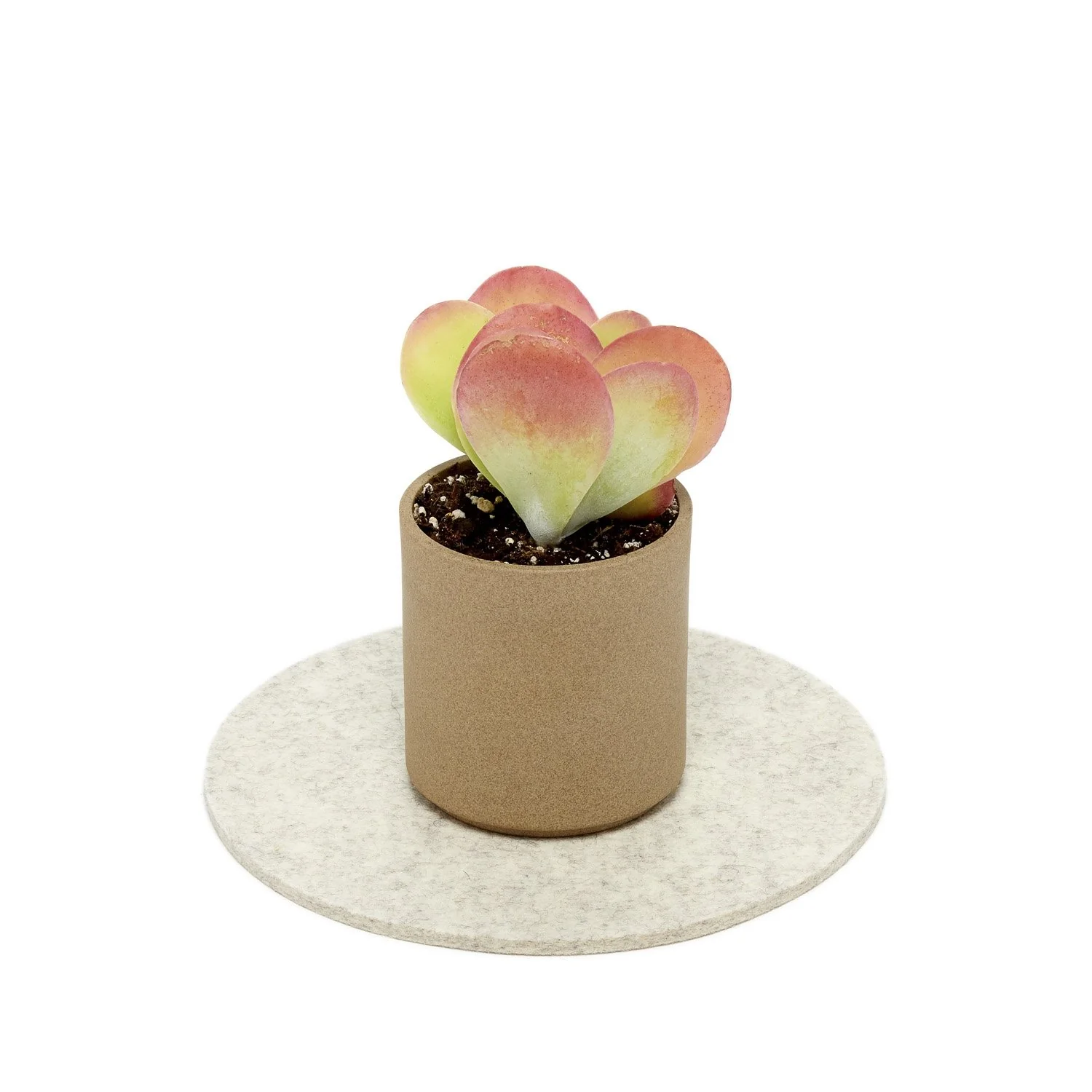 Graf Lantz Felt Round 8" Trivet – Heather White - Image 2
