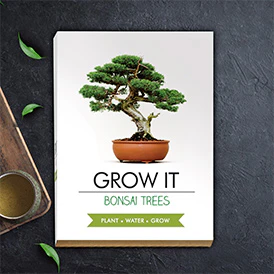 Grow Your Own Bonsai Trees - Image 2