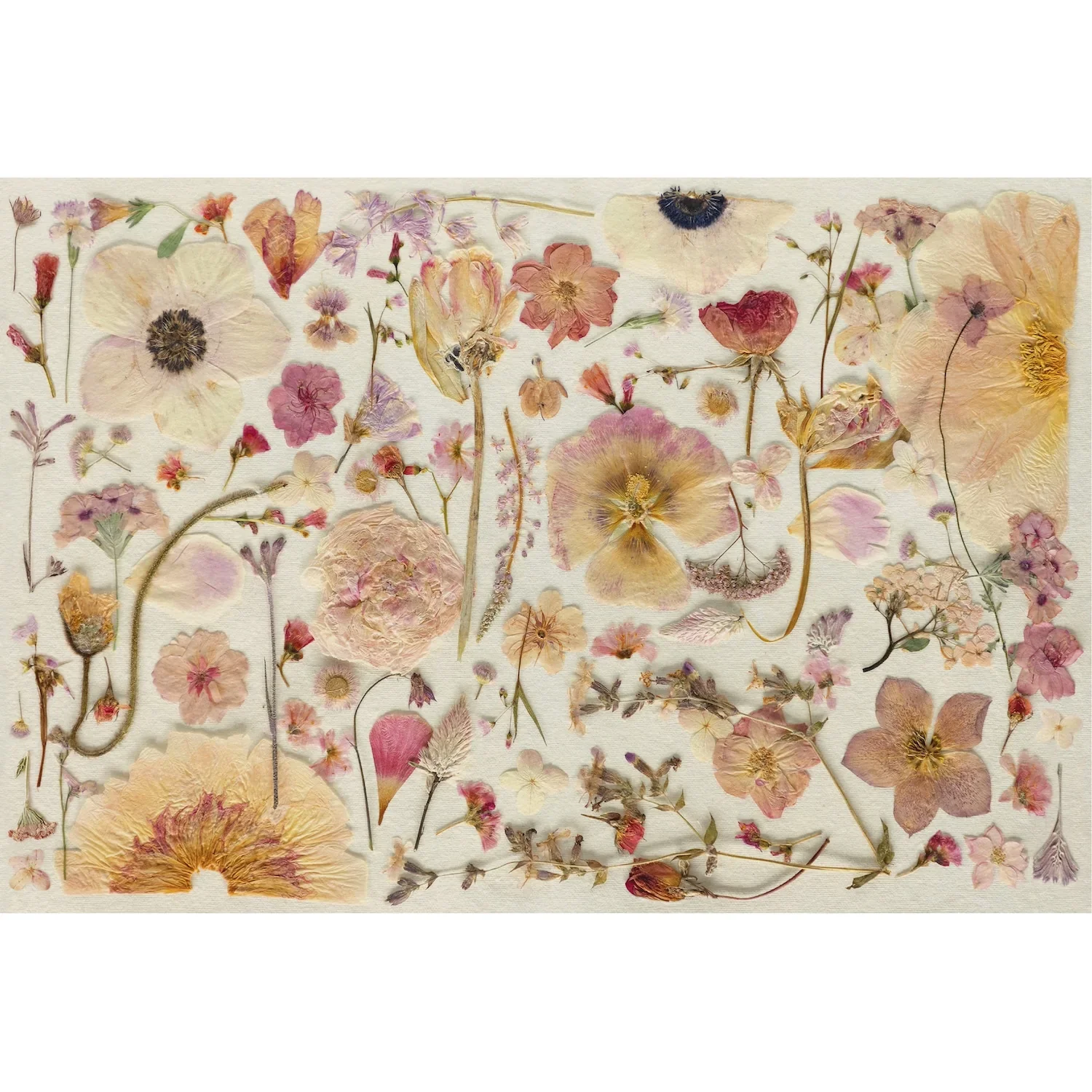 Hester & Cook Paper Placemats - Blush Pressed Petals – Pack of 18