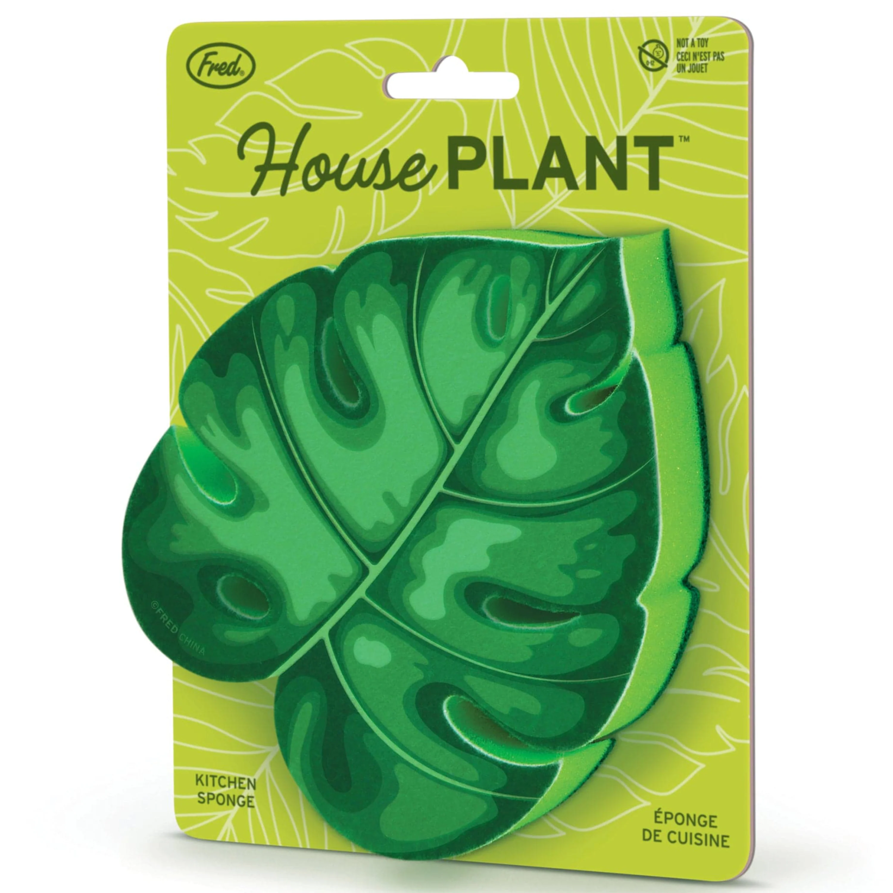 House Plant Sponge