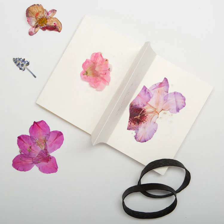 Kikkerland Accordion-Style Field Flower Press - Image 2