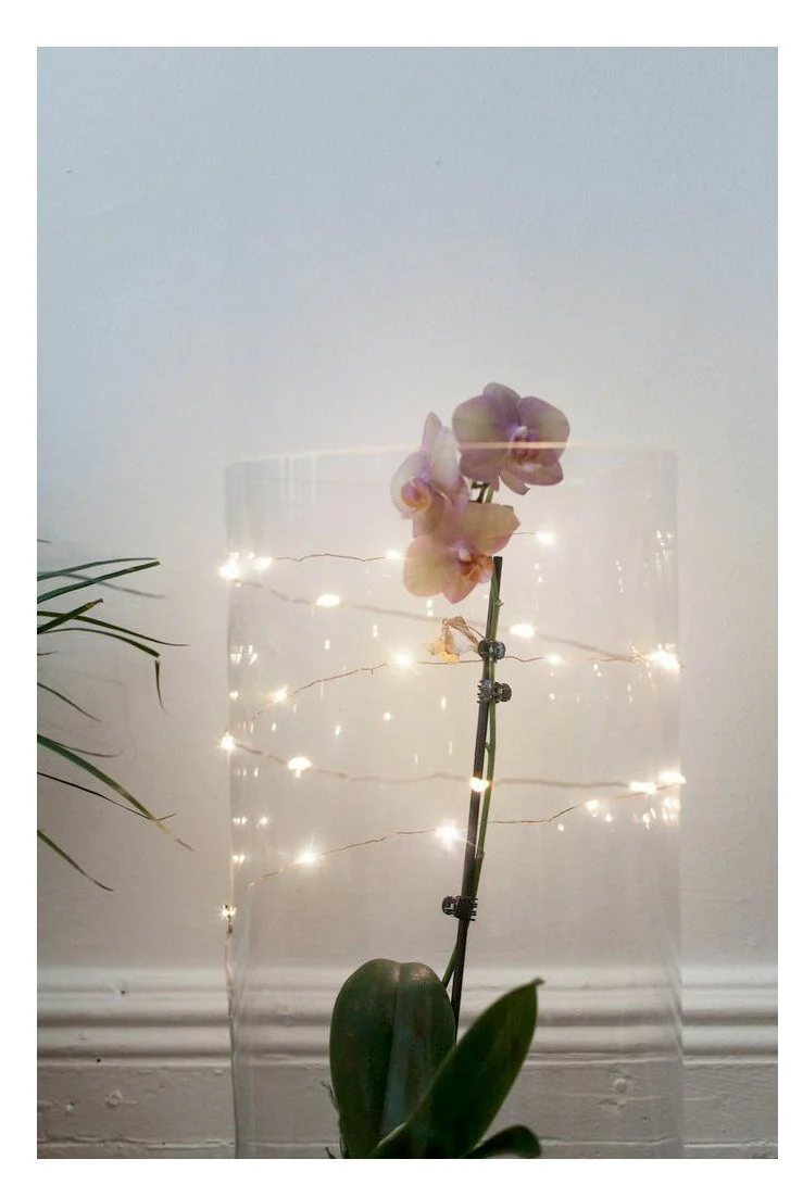 Kikkerland Copper String Lights – Soft White - Image 4