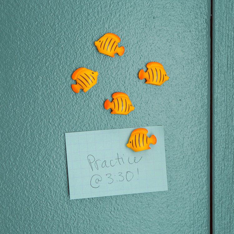 Kikkerland Fish Magnets – Set of 5 - Image 3