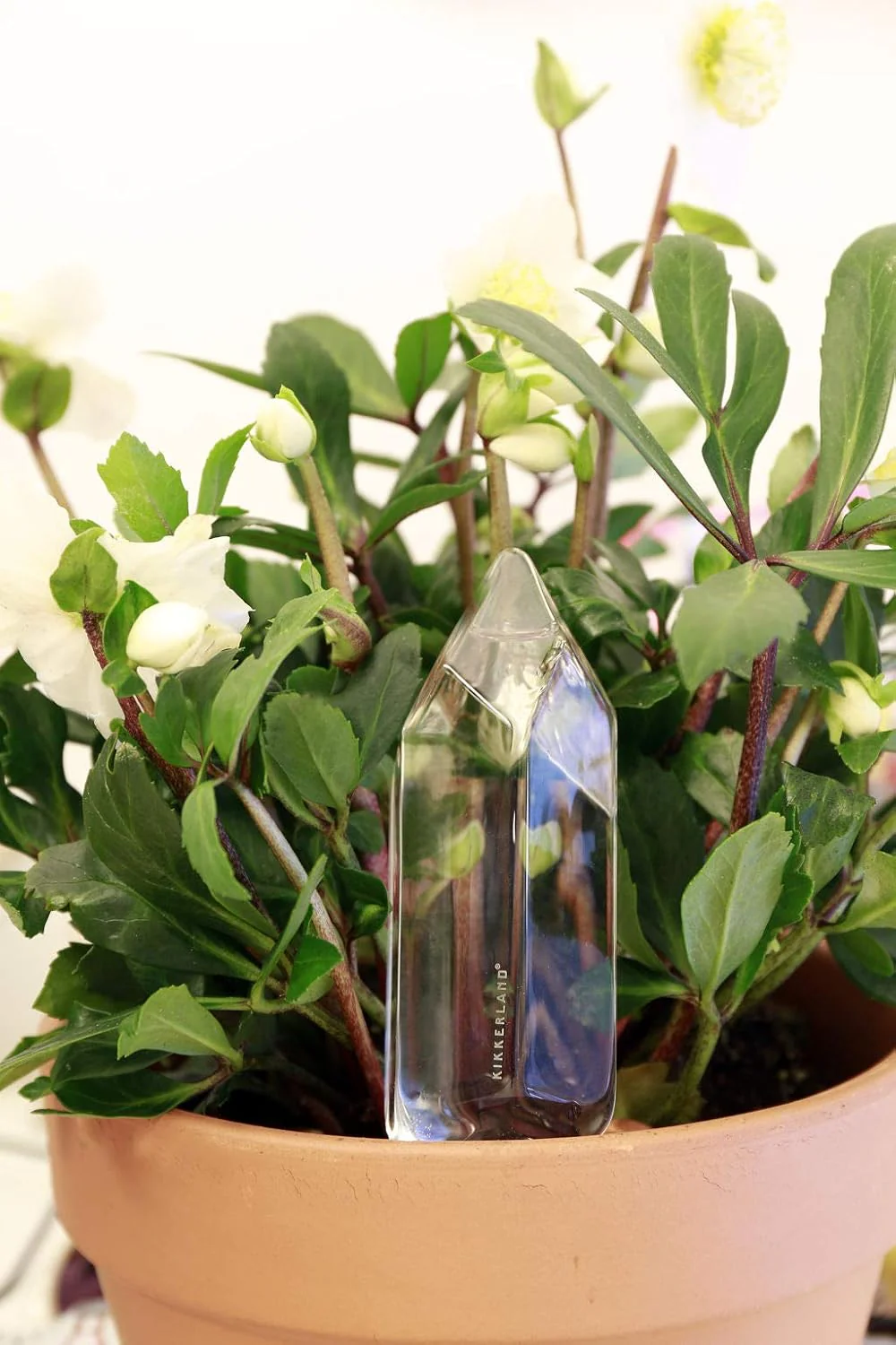 Kikkerland Hand Blown Crystal Glass Self Watering Stake for Potted Plants - Image 3