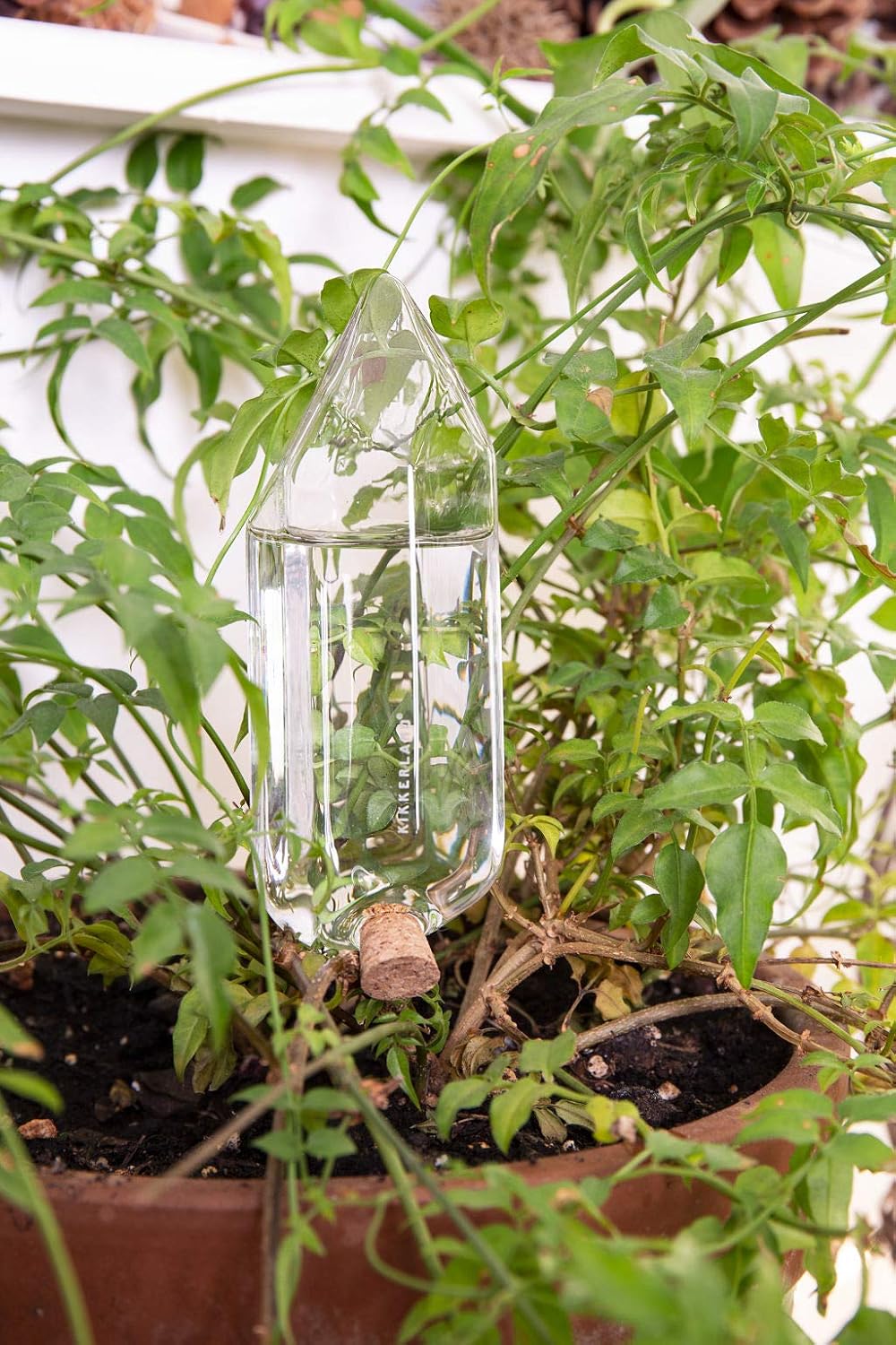 Kikkerland Hand Blown Crystal Glass Self Watering Stake for Potted Plants - Image 4