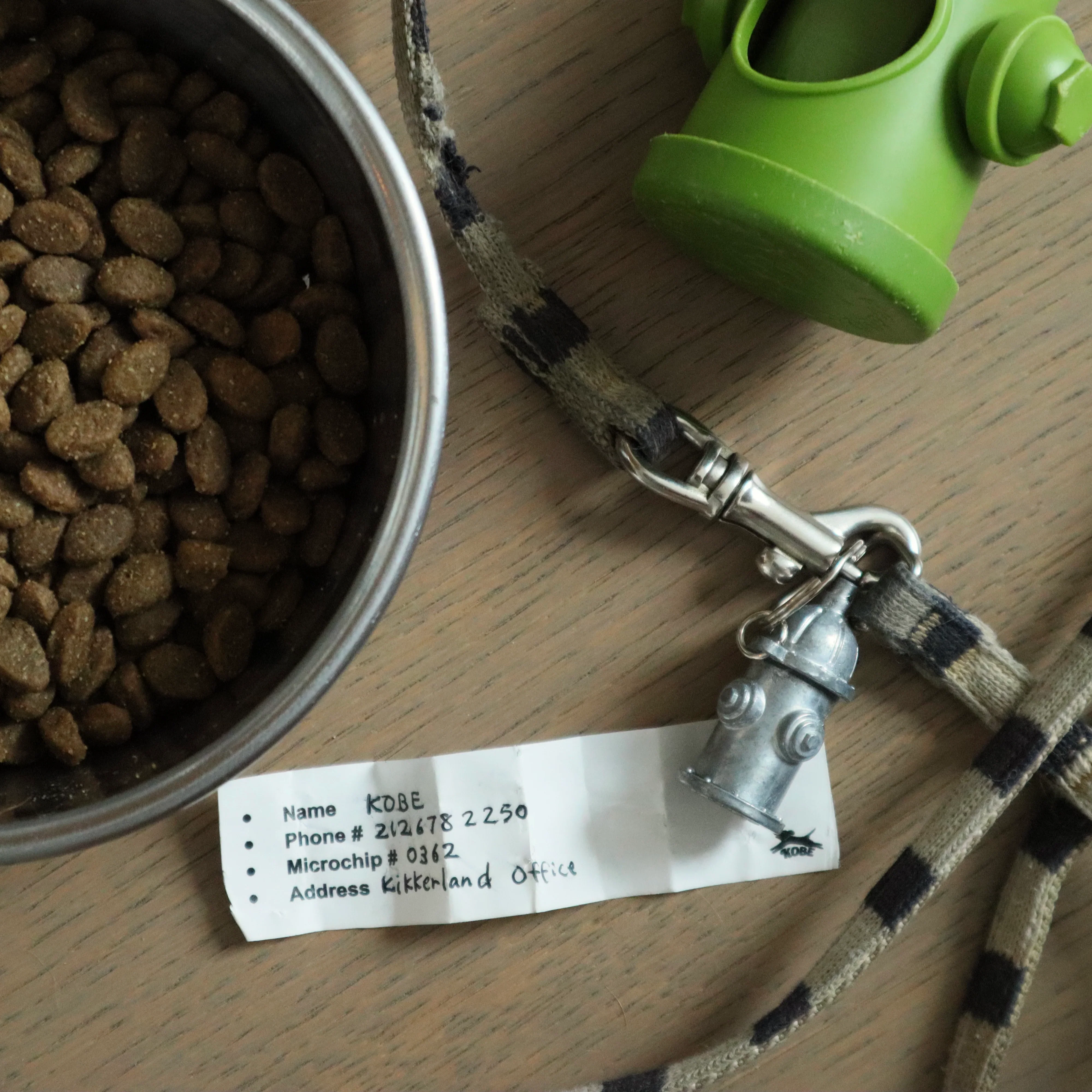 Kikkerland Kobe Identification Dog Charm - Image 5
