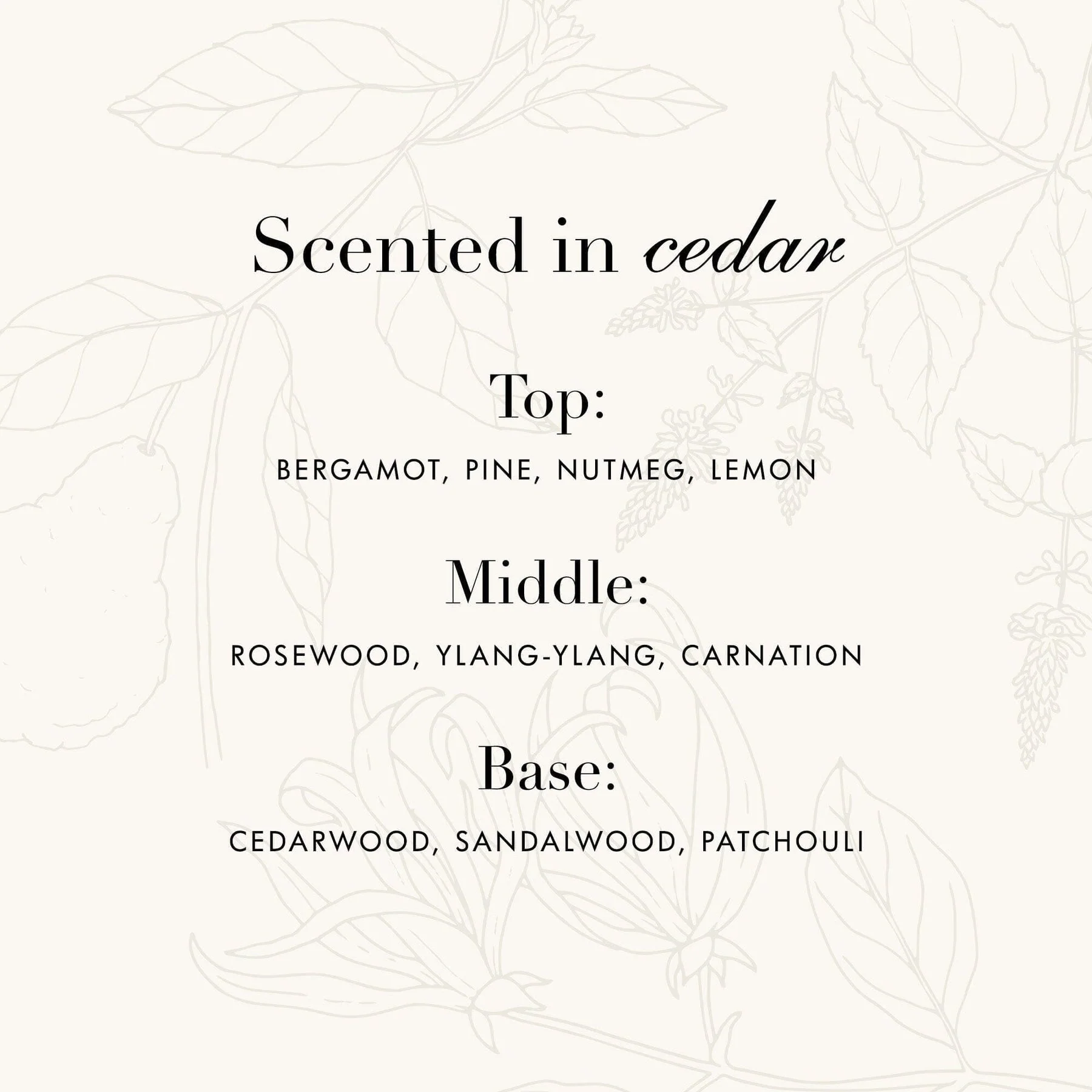Laundress Wool & Cashmere Shampoo – 16oz - Image 3