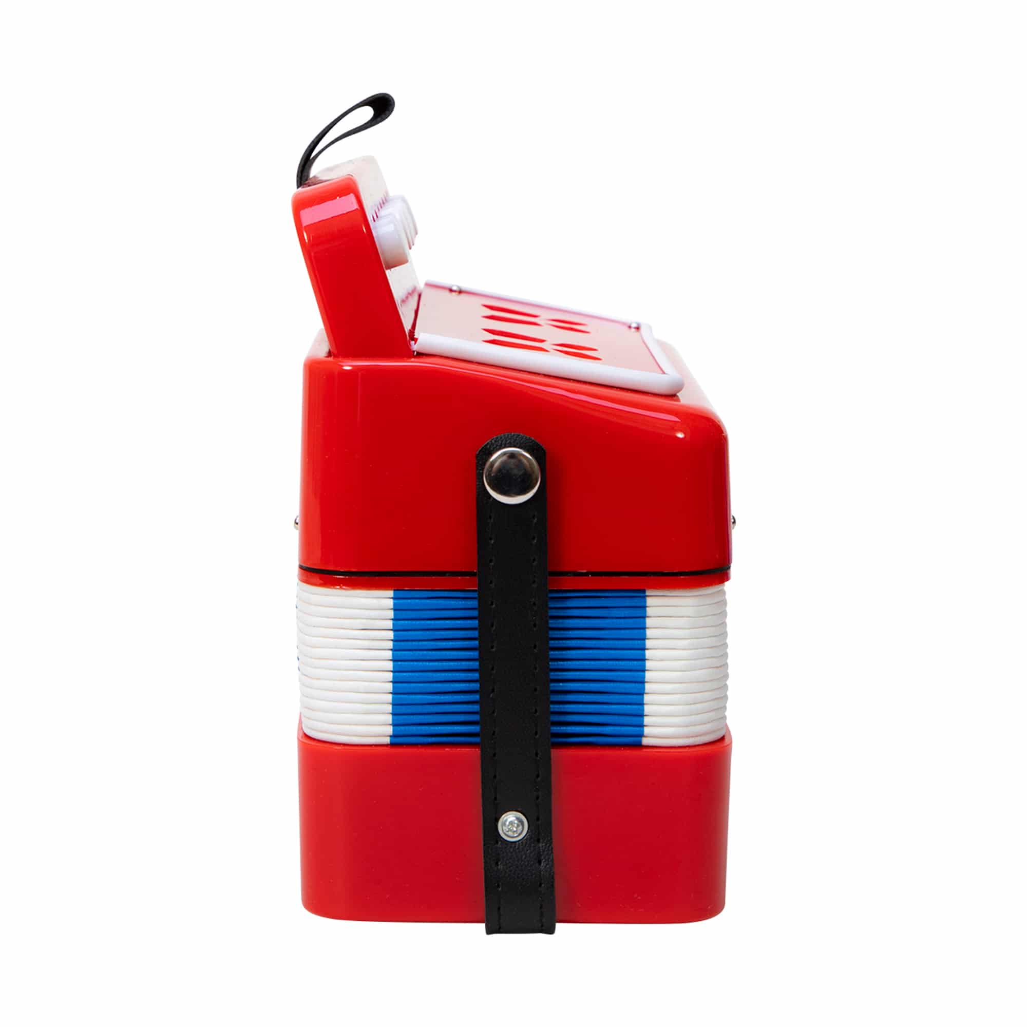 Learn To Play Accordion for Kids - Image 4