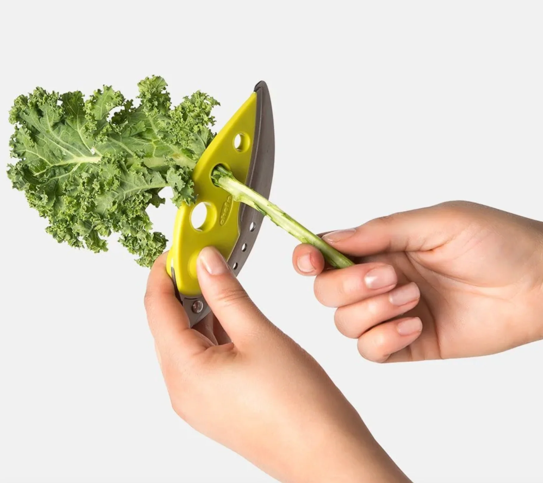 LooseLeaf Plus Kale and Greens Stripper - Image 5