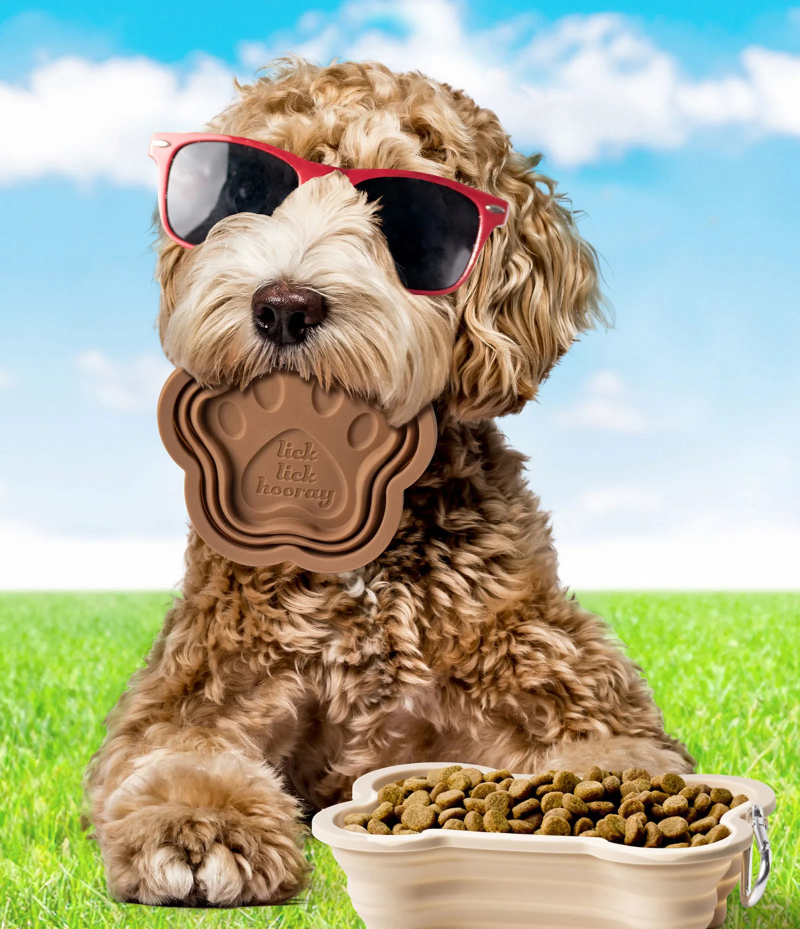 Modern Monkey sWAG Collapsible Doggie Dish – Assorted Styles – Each Sold Separately - Image 6