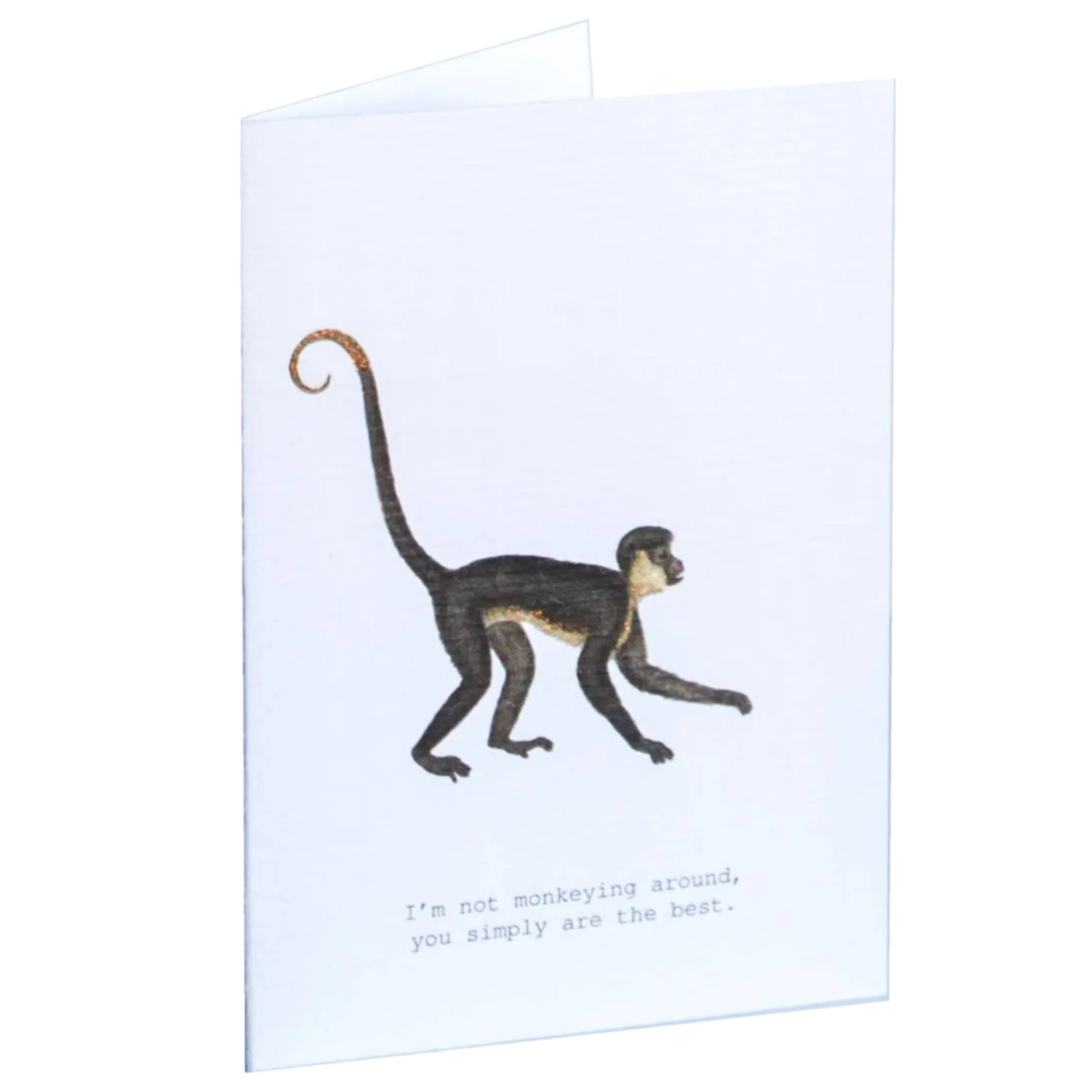 Monkeying Around Glitter Greeting Card β 3.5" x 5"