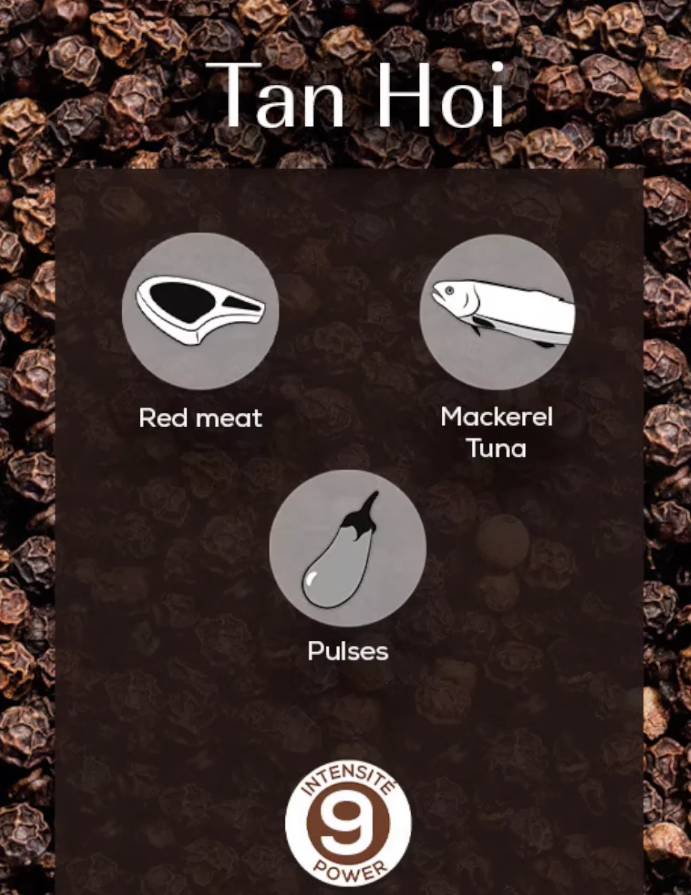 Peugeot Tan Hoi Vietnamese Black Peppercorns Refill โ Single Sachet - Image 5