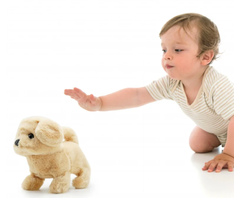 Pugs At Play – Goldie The Waking Dog Toy - Image 4
