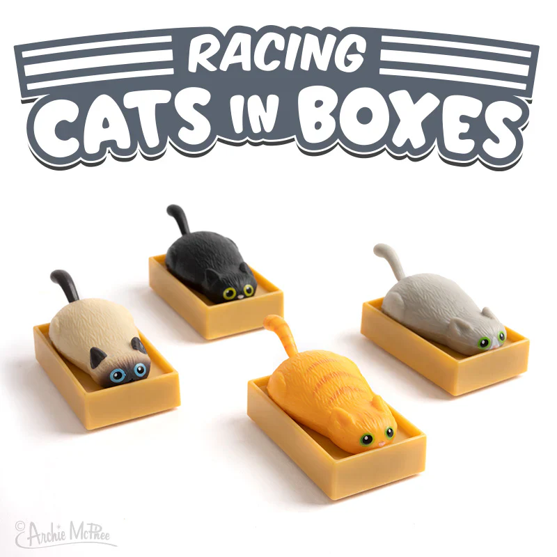 Racing Cats In Boxes Toy – Each Sold Separately - Image 4