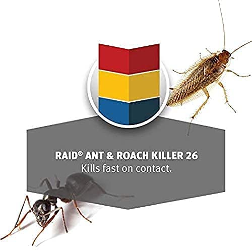 Raid Ant & Roach Killer – Outdoor Fresh – 17.5 oz - Image 4