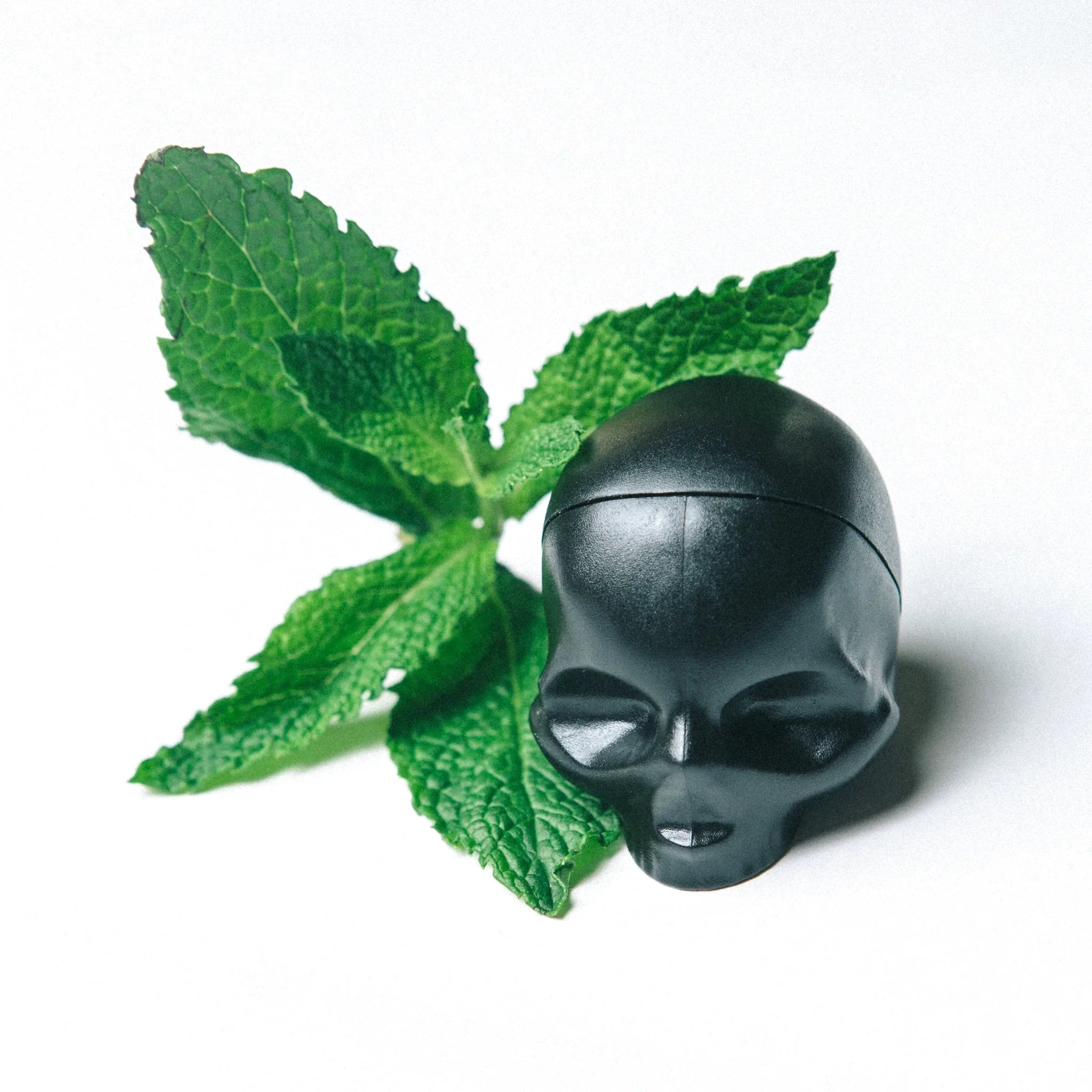 Rebels Refinery Black Skull Lip Balm – Mint - Image 2