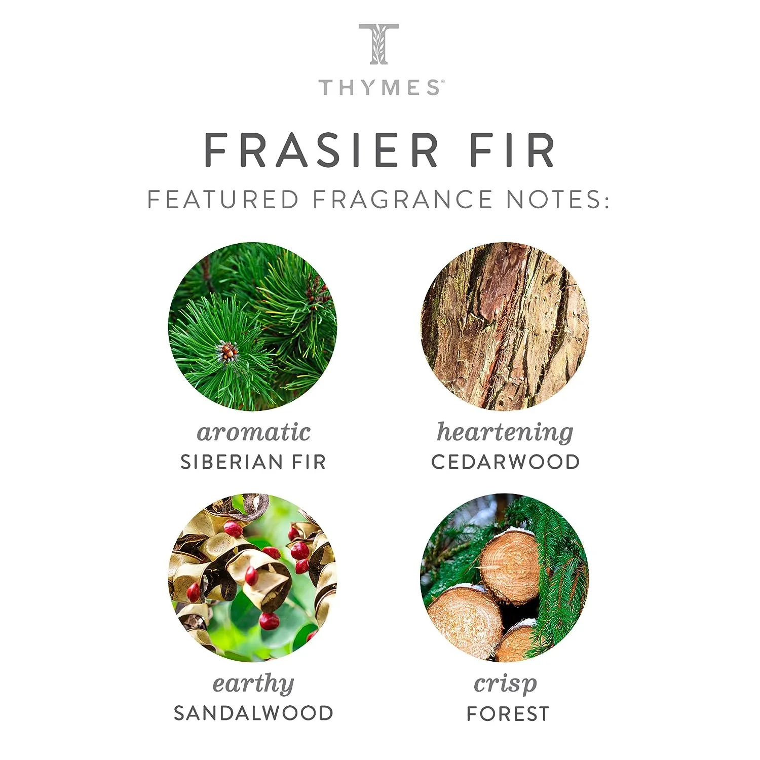 Thymes Frasier Fir Glass Vessel Hand Wash โ 15oz - Image 2
