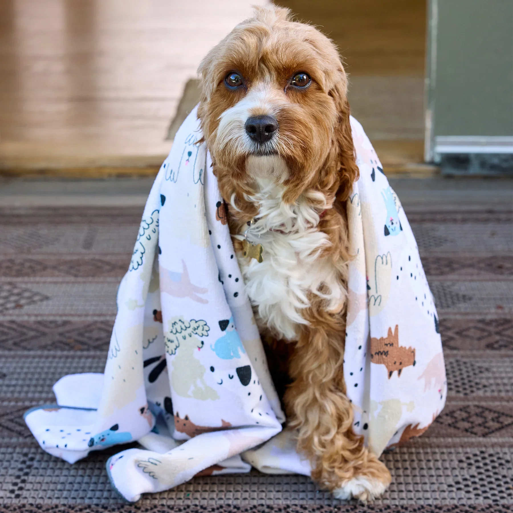 Werkshoppe Pooches & Pups Pet Drying Microfiber towel – 28" x 48" - Image 3