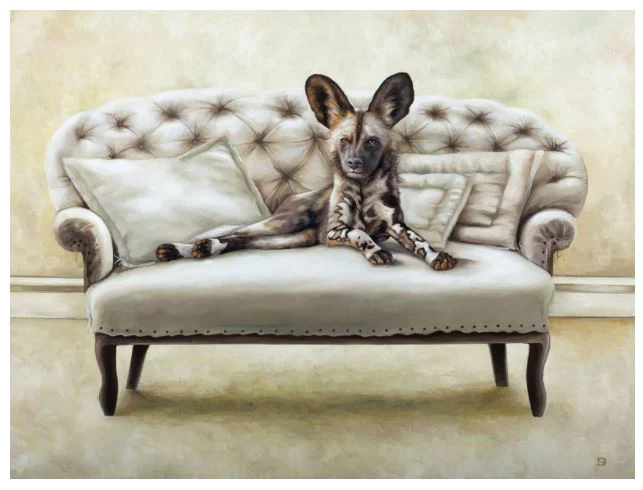 Wildlife At Leisure – Rhino And Friends Laminated Placemats – Set of 4 - Image 4