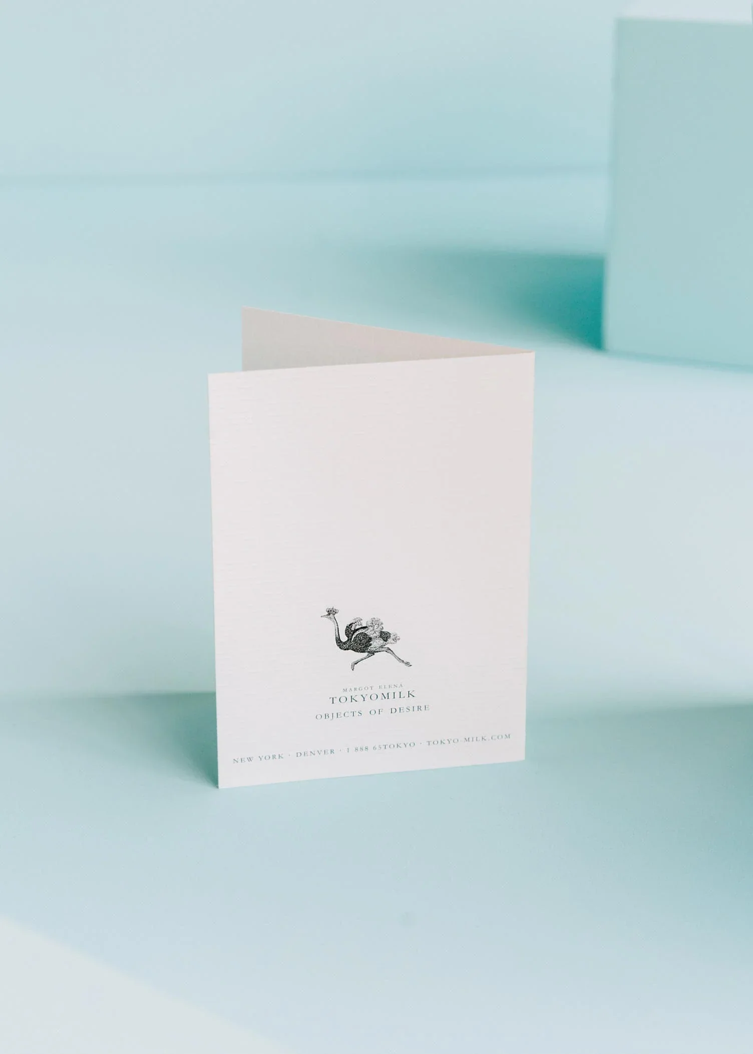 You Totally Rule Glitter Greeting Card – 3.5" x 5" - Image 3