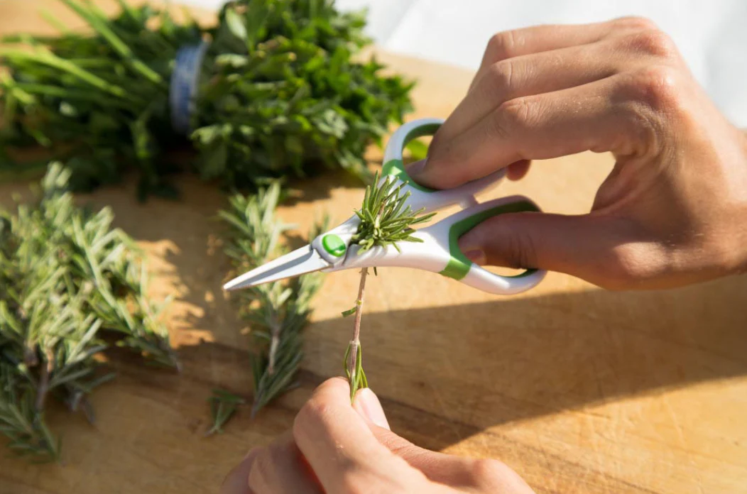 Zyliss Herb Snippers - Image 2